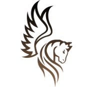 Школа вождения Александра Каминского